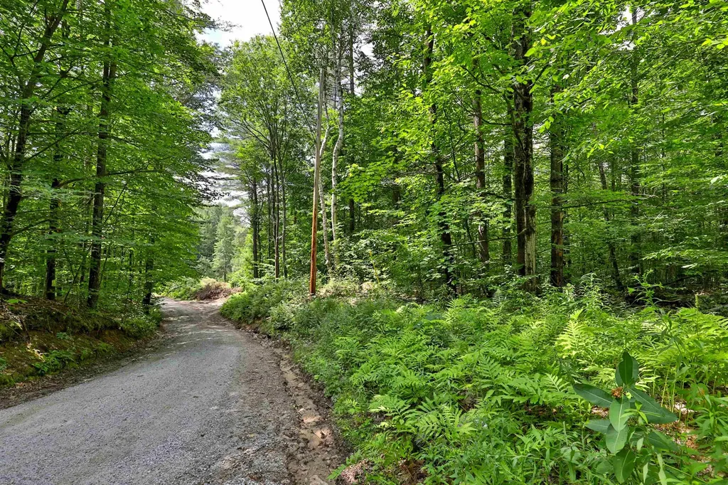 00 White Pine Hill Mendon VT 05701