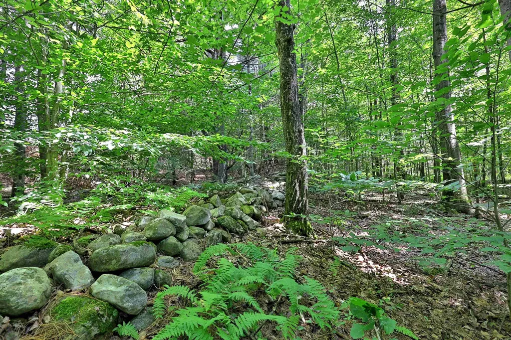 00 White Pine Hill Mendon VT 05701