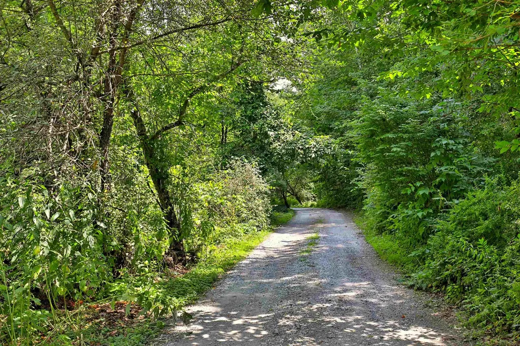 00 White Pine Hill Mendon VT 05701