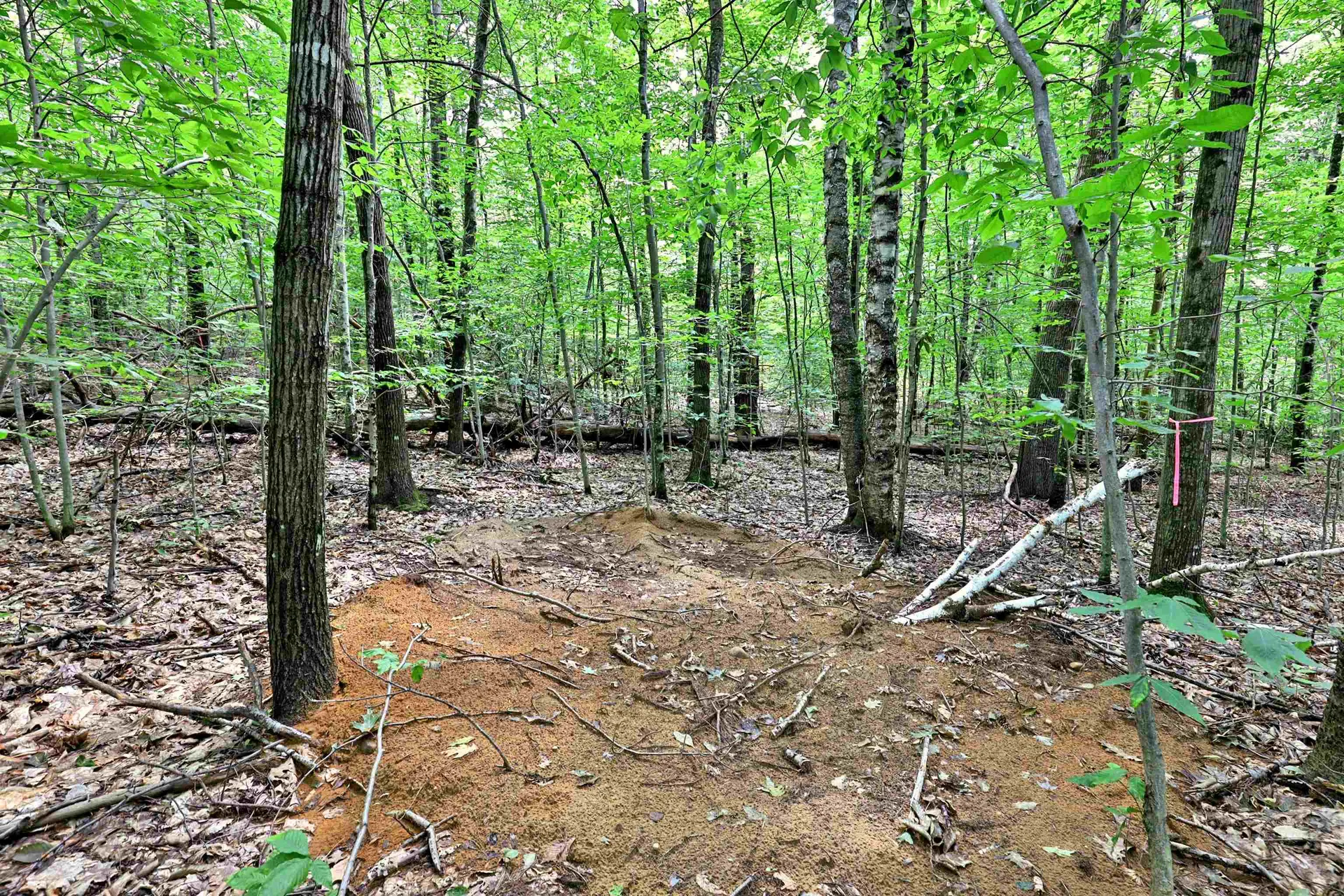 00 White Pine Hill Mendon VT 05701