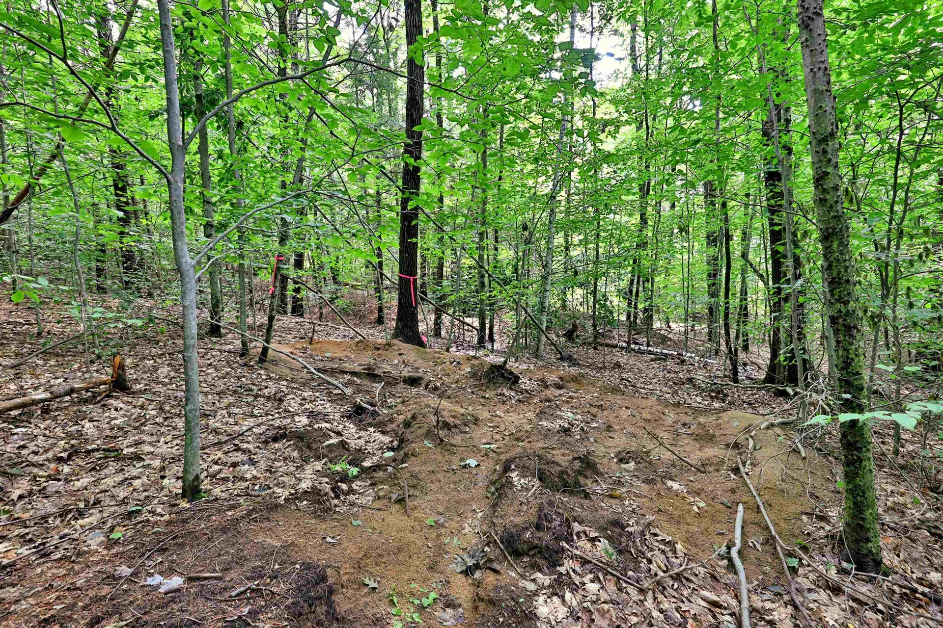 00 White Pine Hill Mendon VT 05701