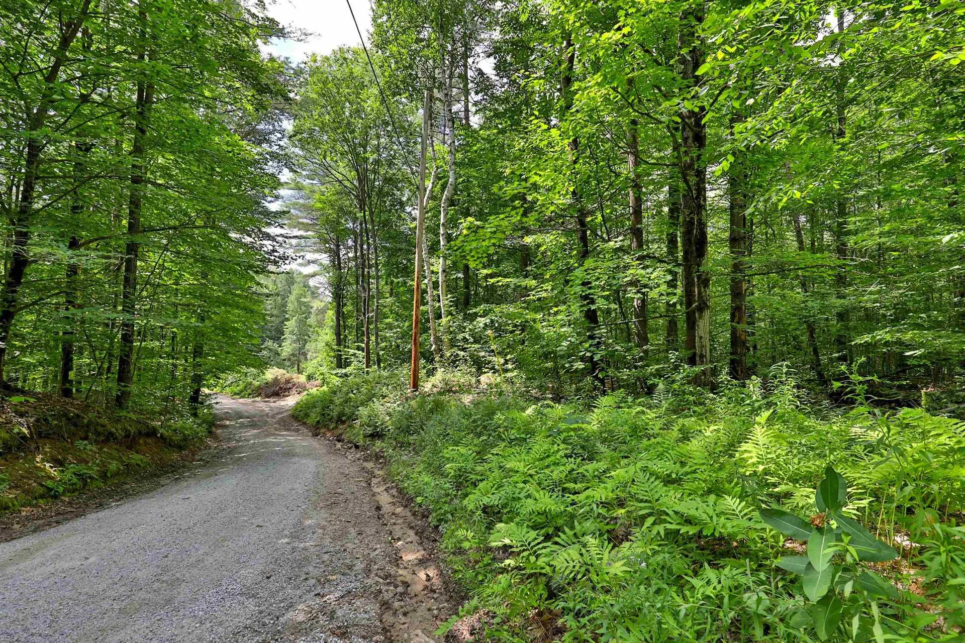 00 White Pine Hill Mendon VT 05701