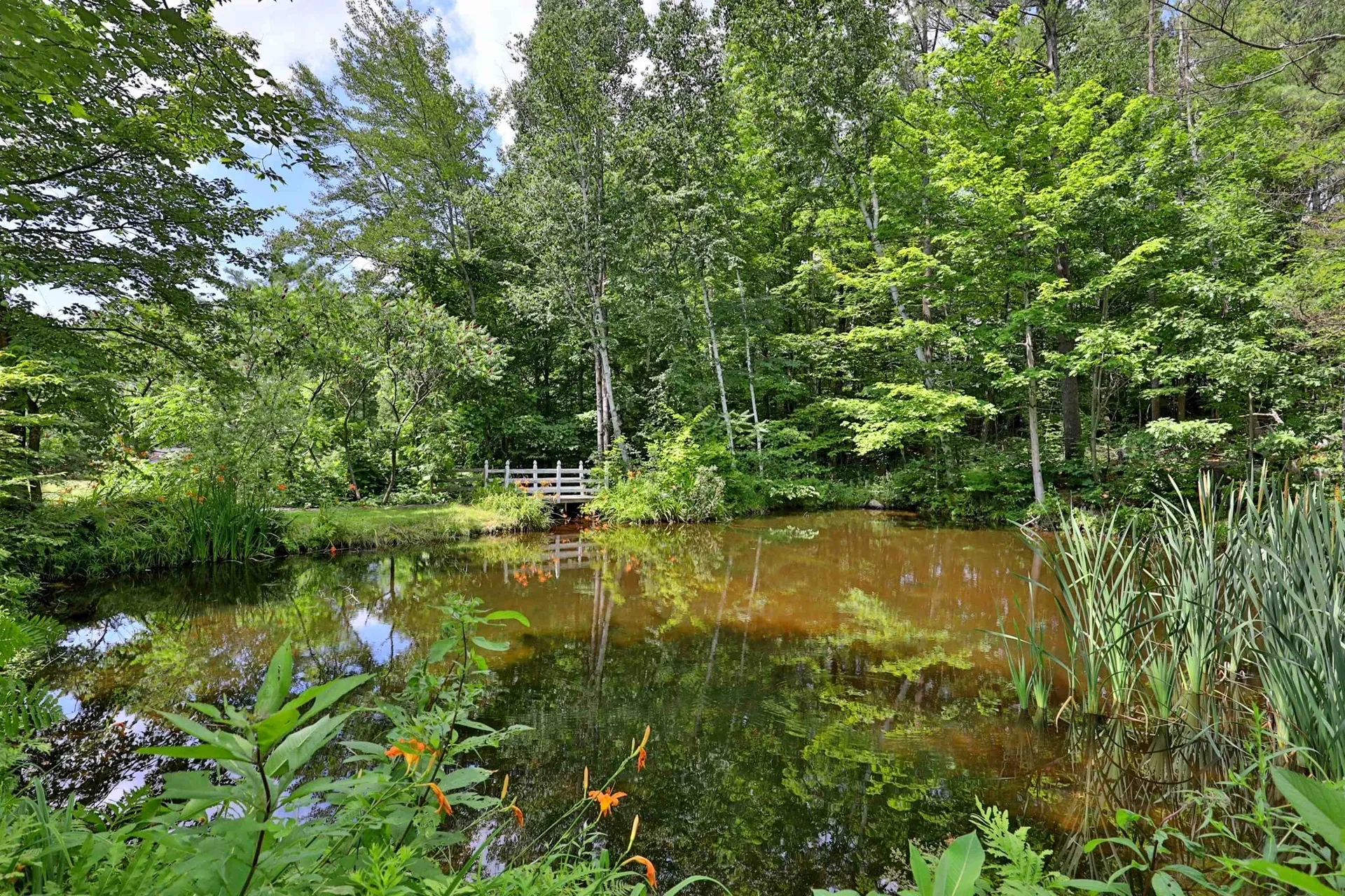 00 White Pine Hill Mendon VT 05701