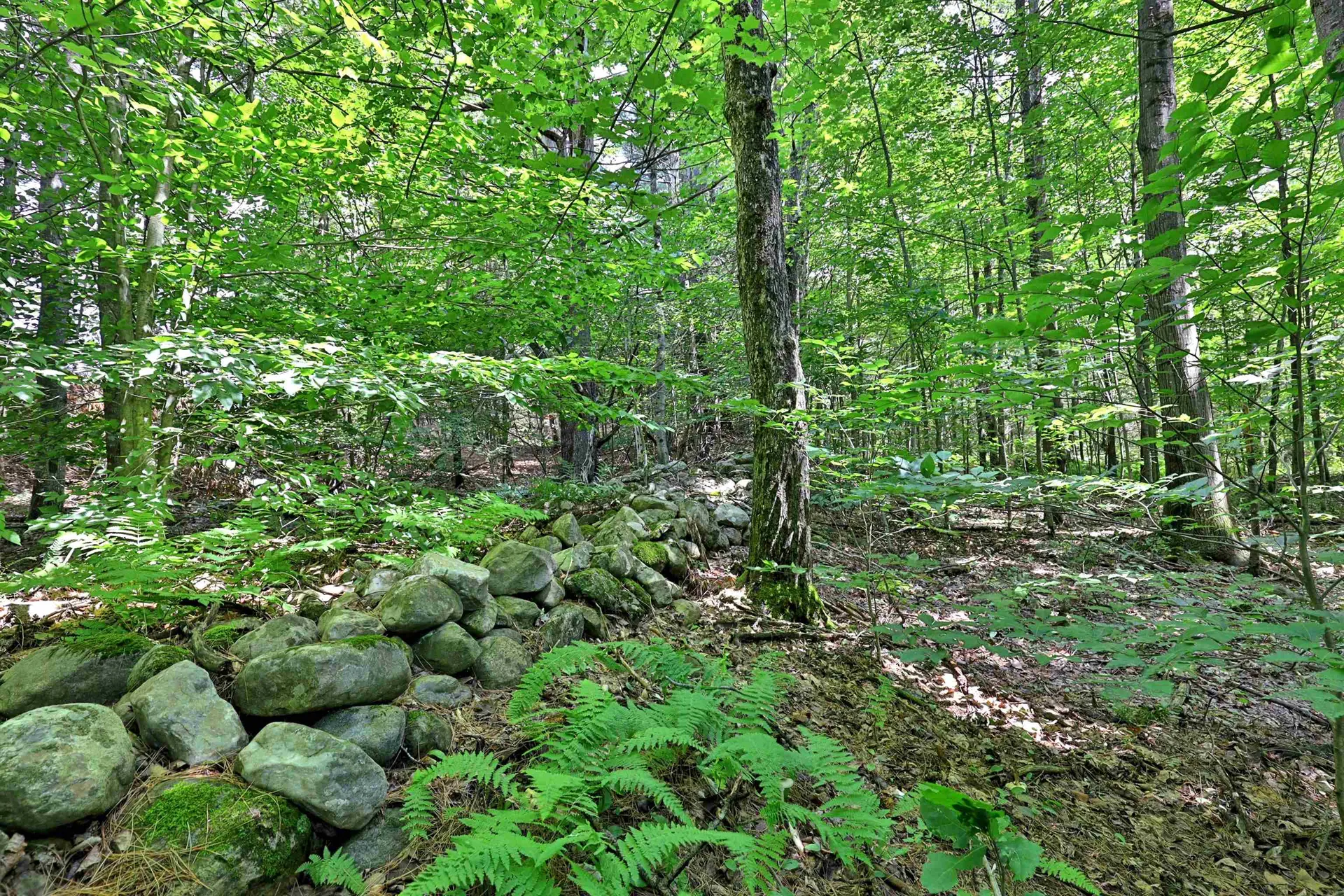 00 White Pine Hill Mendon VT 05701