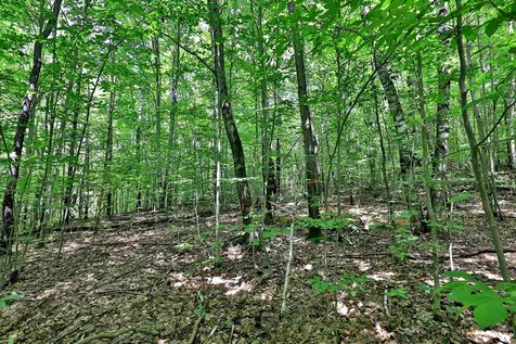 00 White Pine Hill Mendon VT 05701