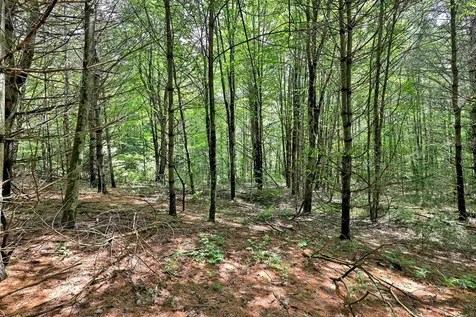 00 White Pine Hill Mendon VT 05701