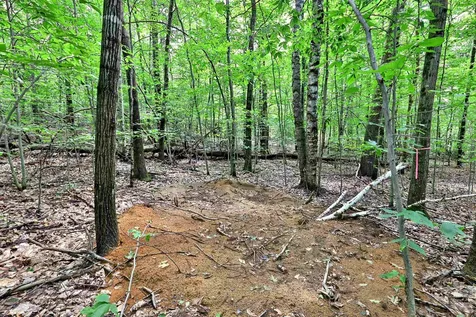 00 White Pine Hill Mendon VT 05701