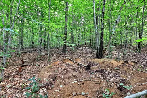 00 White Pine Hill Mendon VT 05701