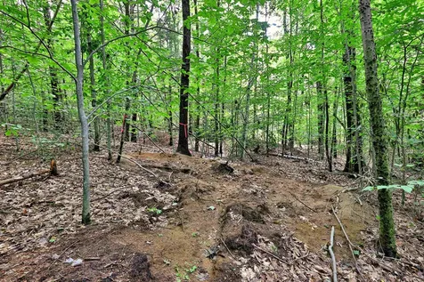 00 White Pine Hill Mendon VT 05701