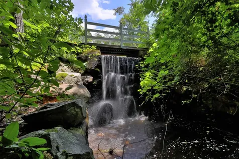 00 White Pine Hill Mendon VT 05701