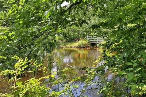 00 White Pine Hill Mendon VT 05701