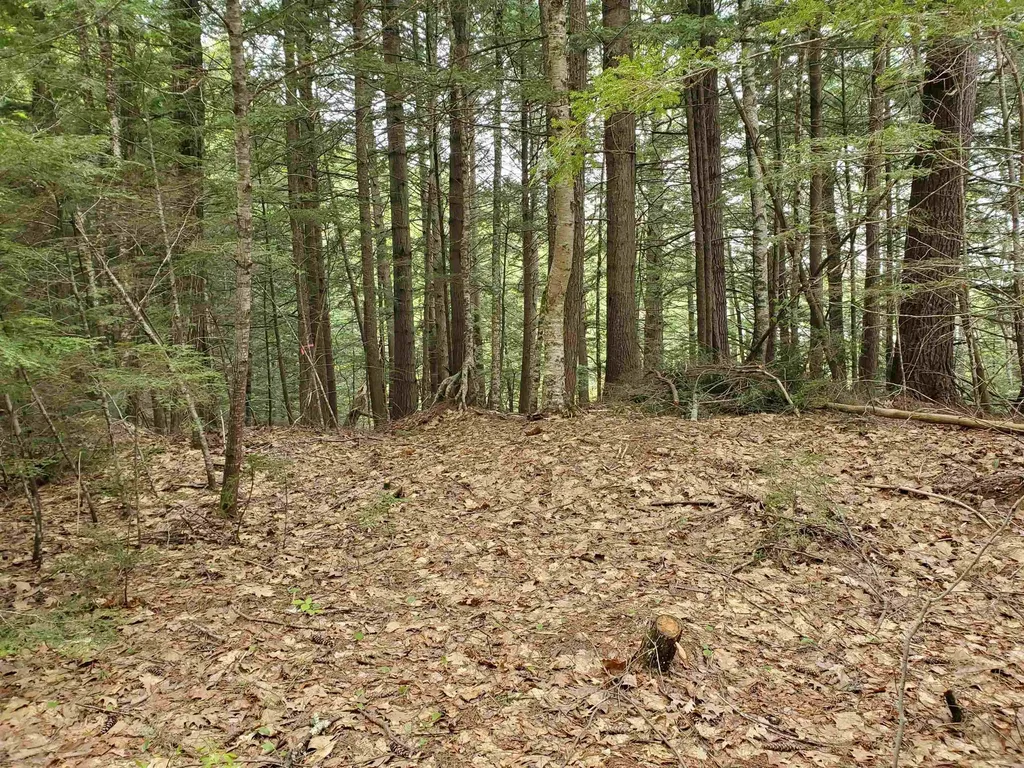 155 Boys Camp Road Enfield NH 03748