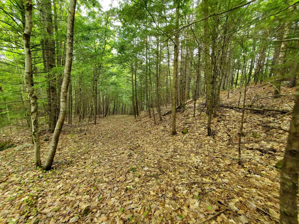 155 Boys Camp Road Enfield NH 03748