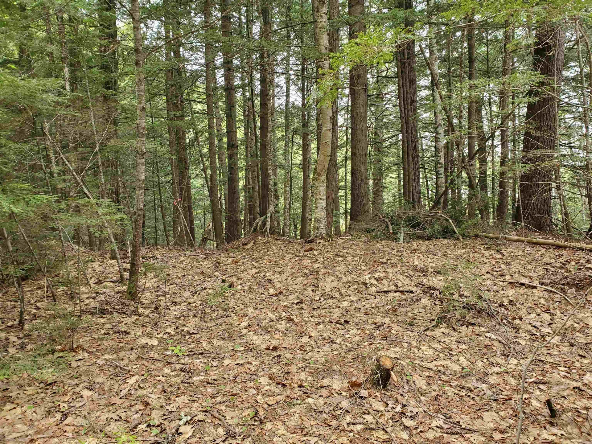 155 Boys Camp Road Enfield NH 03748