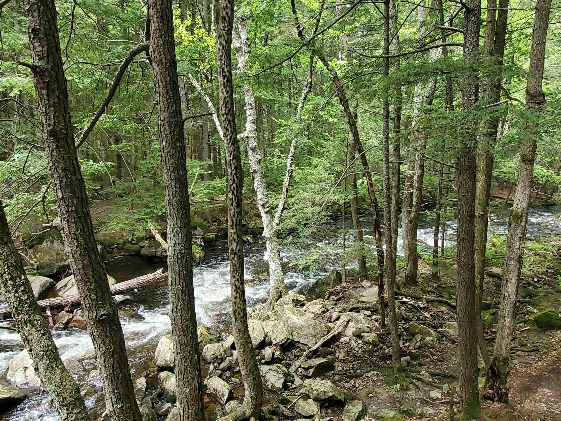 155 Boys Camp Road Enfield NH 03748