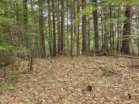 155 Boys Camp Road Enfield NH 03748