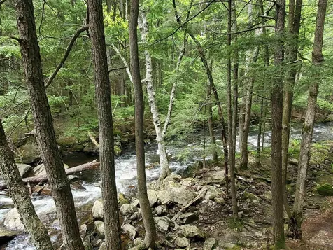 155 Boys Camp Road Enfield NH 03748