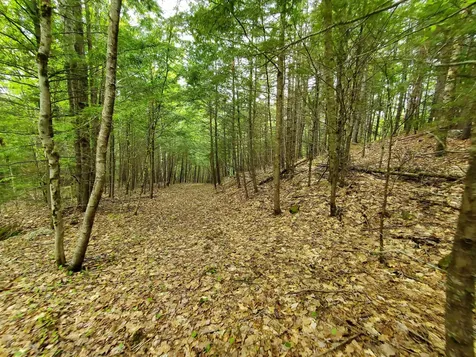 155 Boys Camp Road Enfield NH 03748