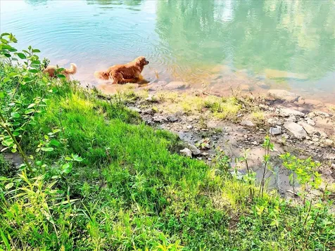 300 River Road Enosburg VT 05450