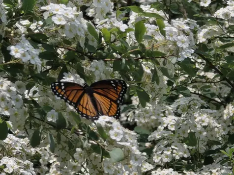 3458 Vt Route 30 Jamaica VT 05343