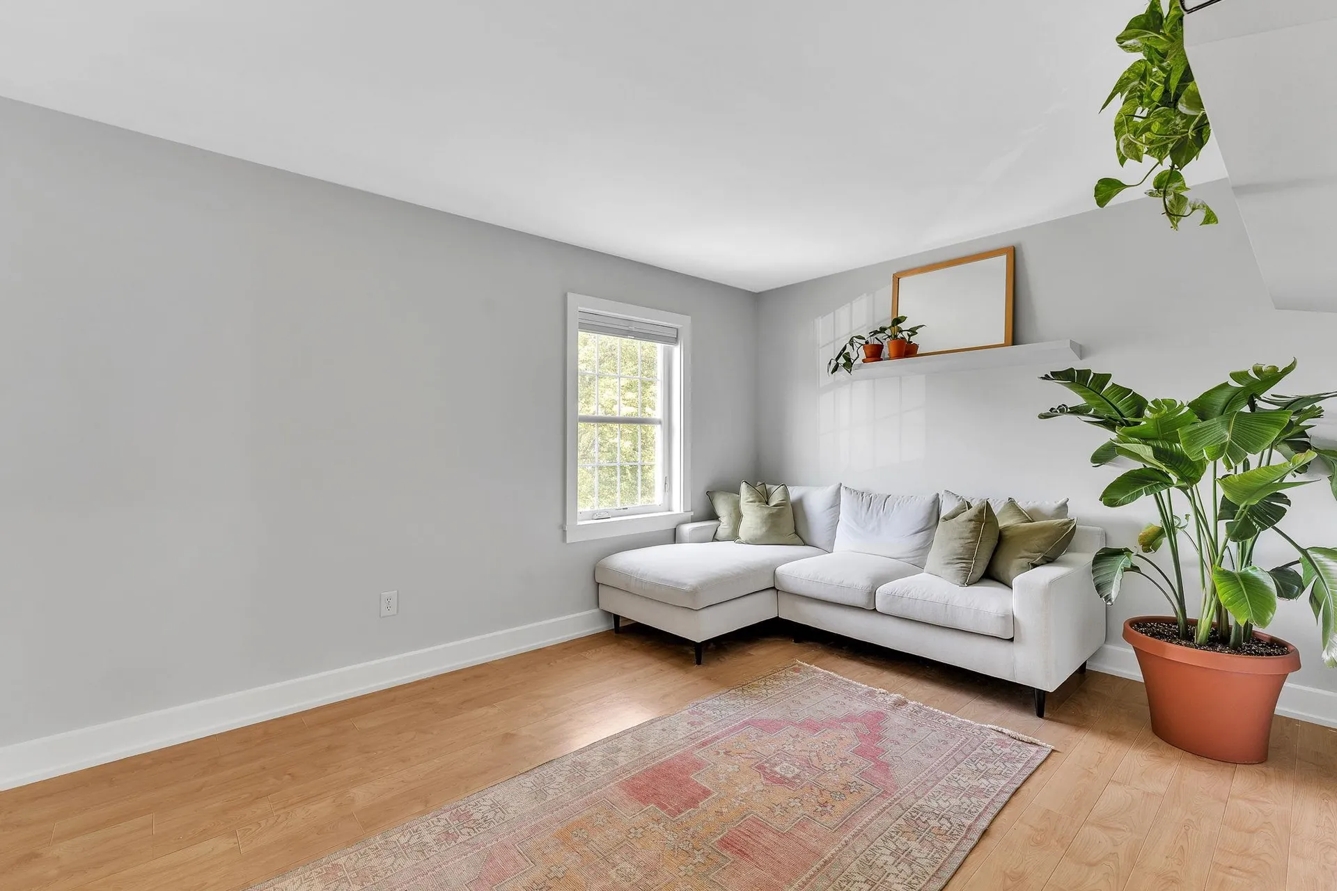 9 Conifer Court Burlington VT 05401