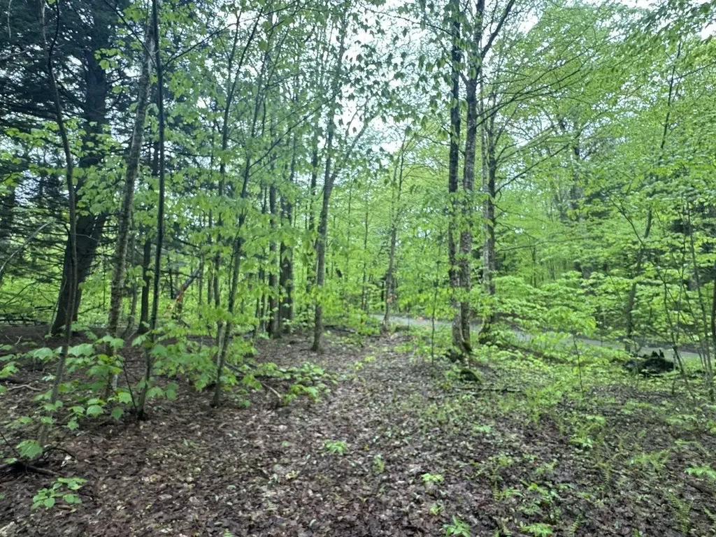 1585 Amidon Road Montgomery VT 05471