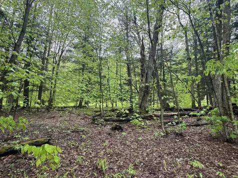 1585 Amidon Road Montgomery VT 05471