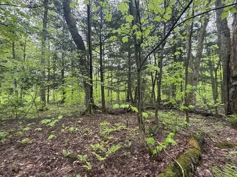 1585 Amidon Road Montgomery VT 05471