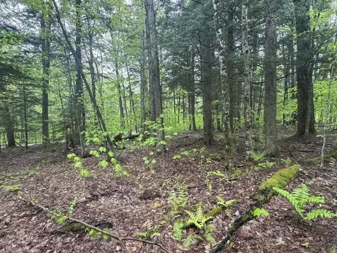 1585 Amidon Road Montgomery VT 05471