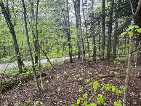 1585 Amidon Road Montgomery VT 05471