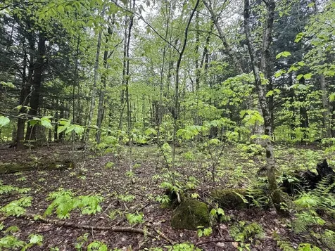 1585 Amidon Road Montgomery VT 05471