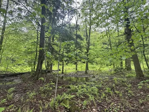 1585 Amidon Road Montgomery VT 05471