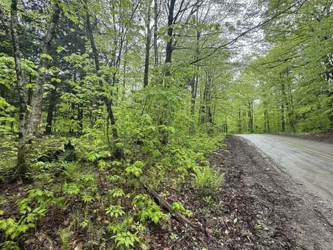 1585 Amidon Road Montgomery VT 05471
