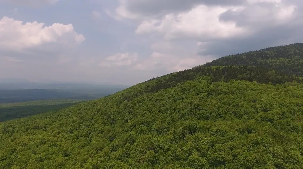 Bennett Road Kirby VT 05832