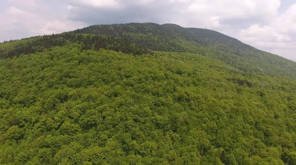 Bennett Road Kirby VT 05832