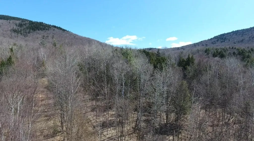 Bennett Road Kirby VT 05832