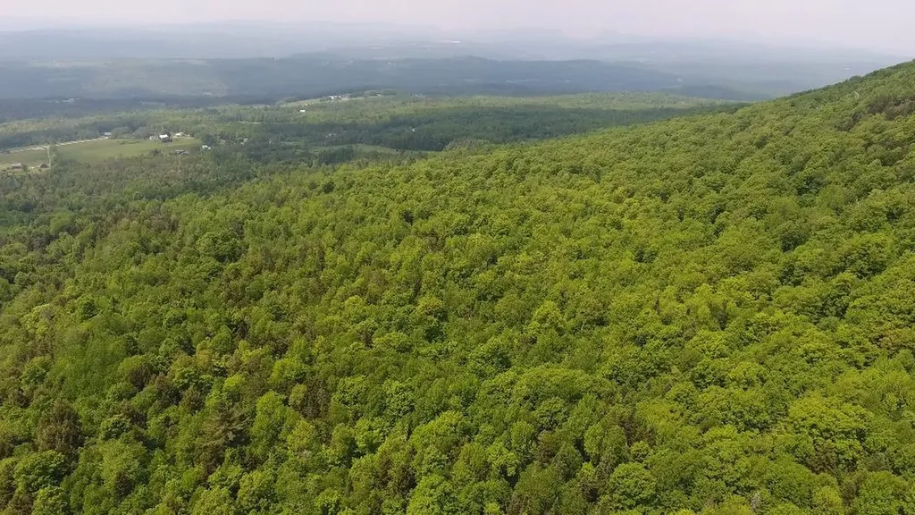 Bennett Road Kirby VT 05832