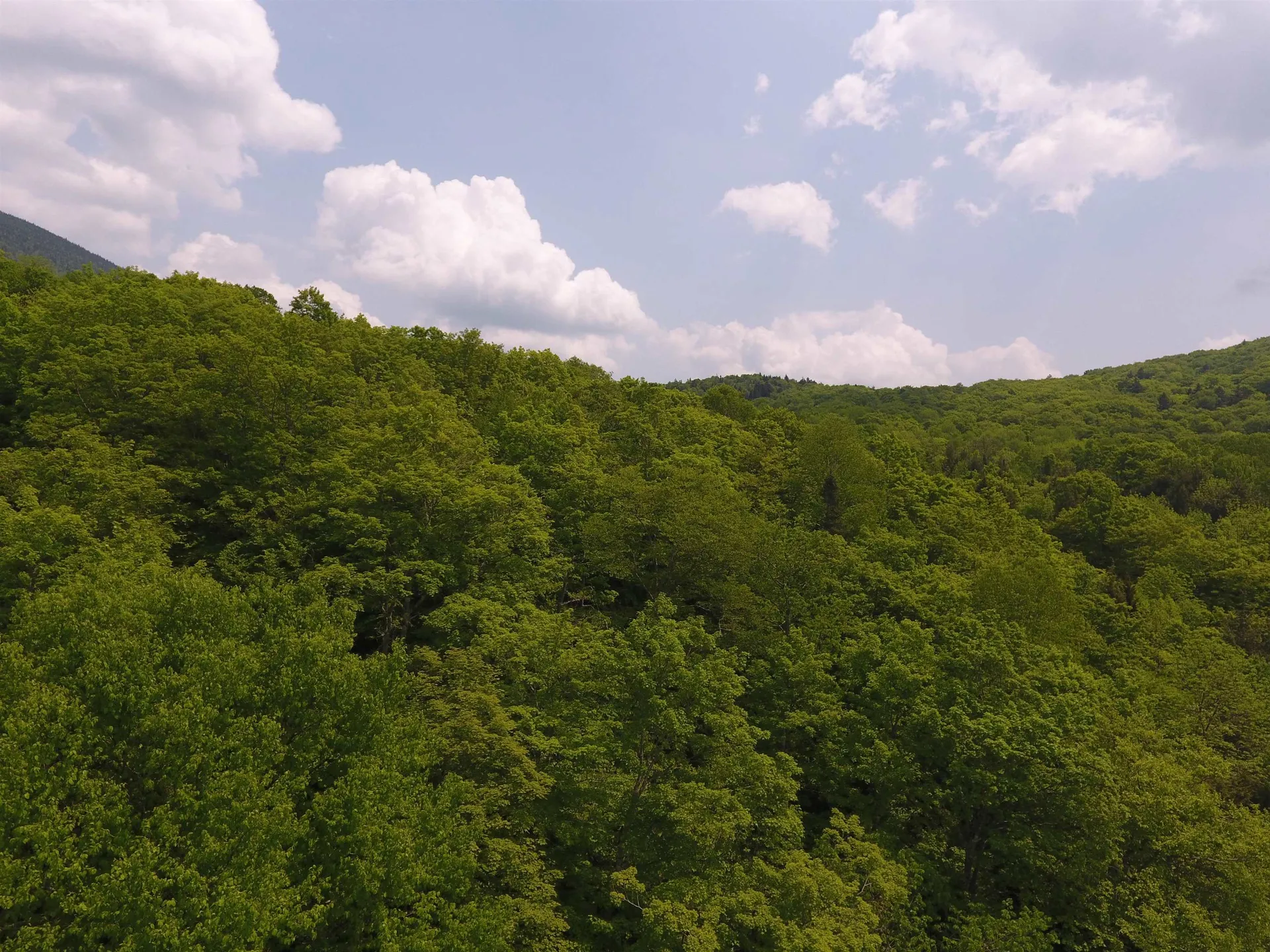 Bennett Road Kirby VT 05832