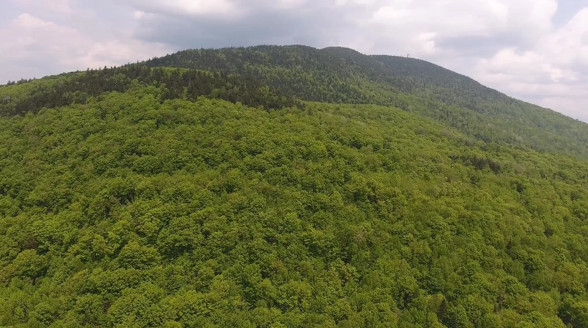 Bennett Road Kirby VT 05832