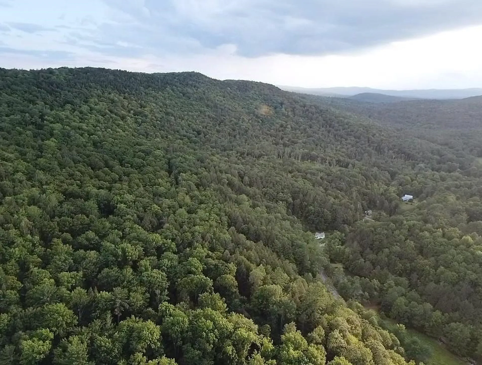 10 Wiswall Hill Road Newfane VT 05345