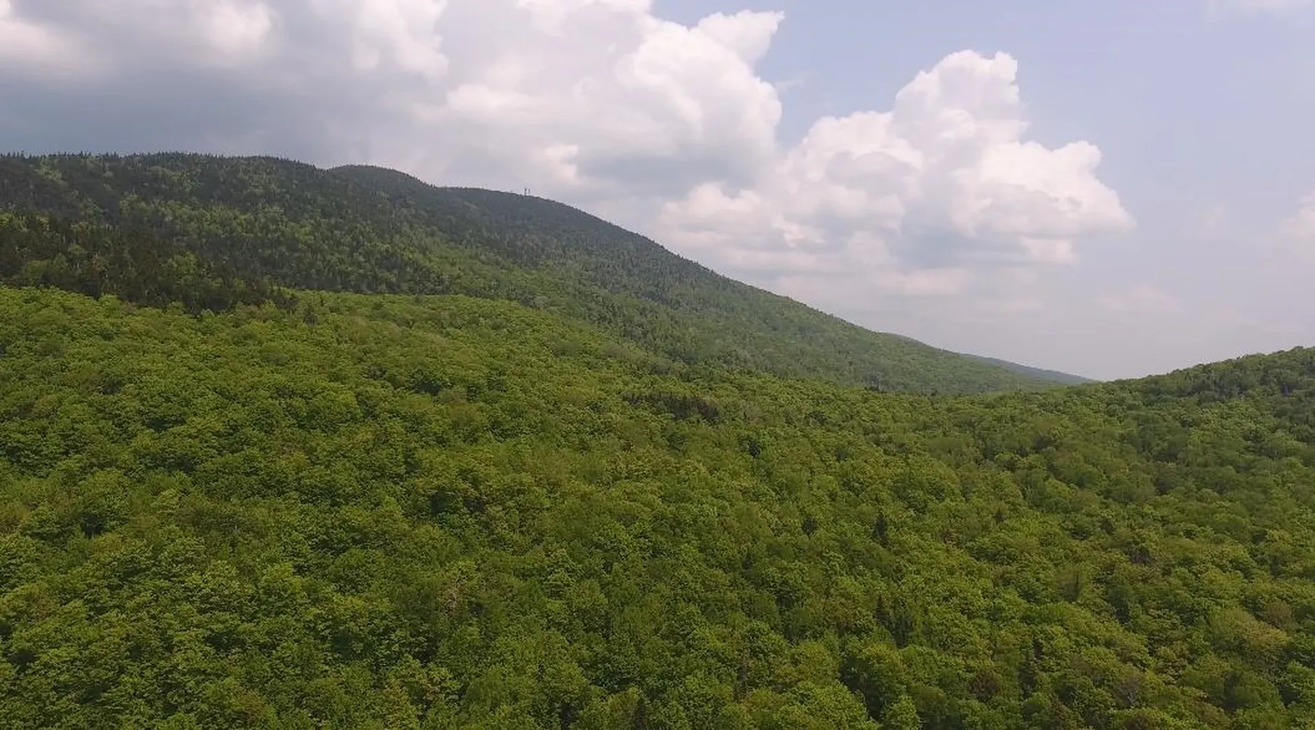 Bennett Road Kirby VT 05832