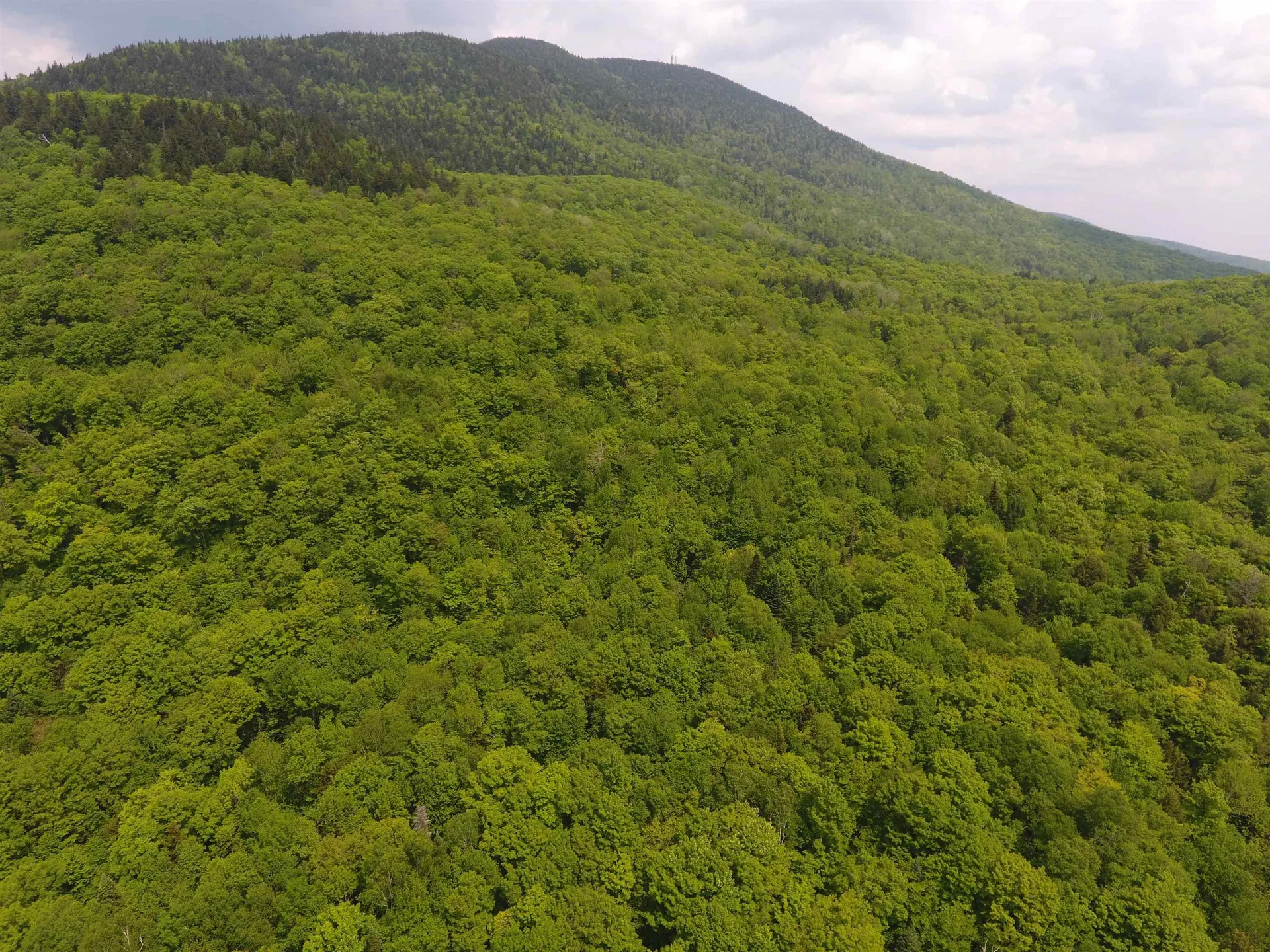 Bennett Road Kirby VT 05832