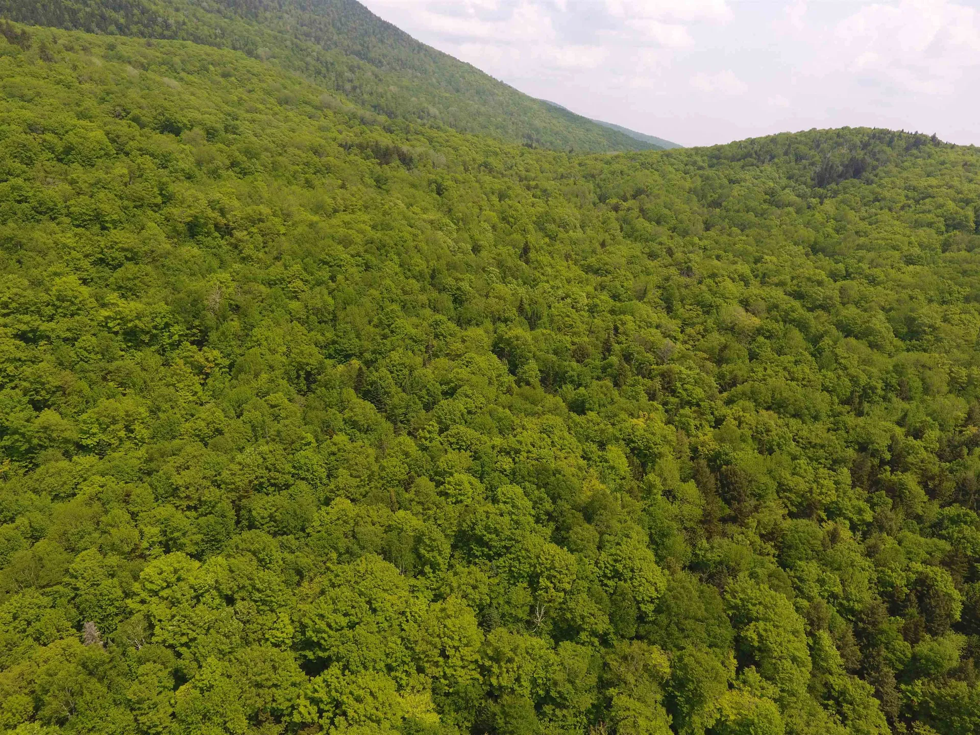 Bennett Road Kirby VT 05832