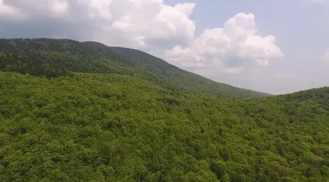 Bennett Road Kirby VT 05832