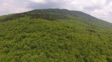 Bennett Road Kirby VT 05832