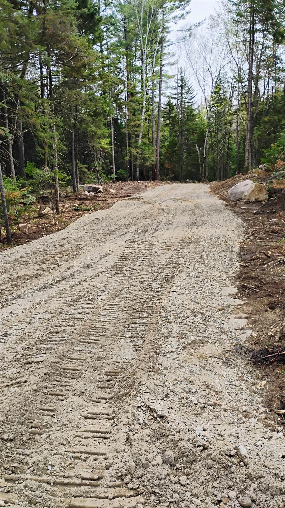 Lot 1 Nh Route 4a Grafton NH 03240