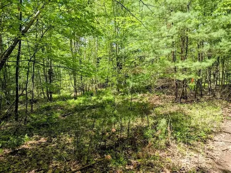 Lot 101 Wildwood Road Haverhill NH 03785