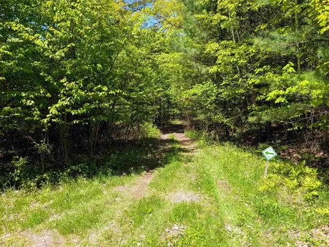 Lot 101 Wildwood Road Haverhill NH 03785