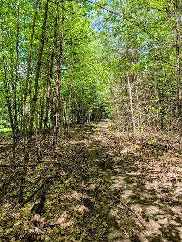 Lot 101 Wildwood Road Haverhill NH 03785