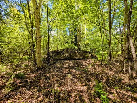 Lot 101 Wildwood Road Haverhill NH 03785